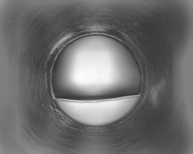 X0000086291307200703300851