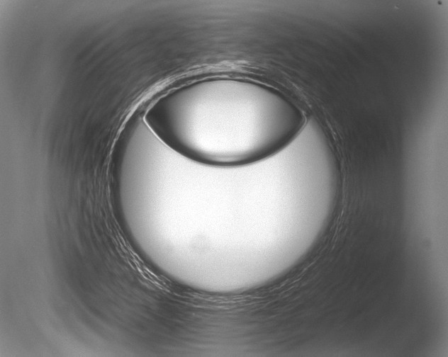 X0000086291308200703300851