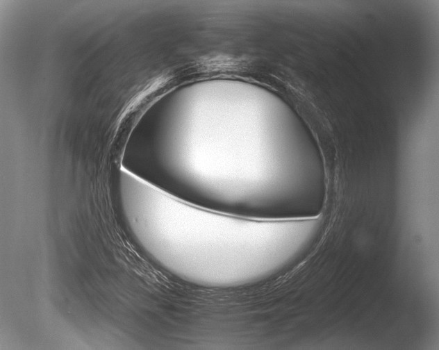 X0000086291309200703300851