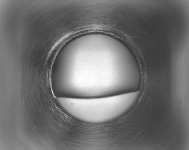 X0000086291310200703300851