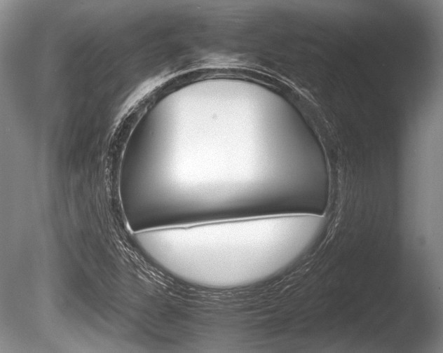X0000086291311200703300851