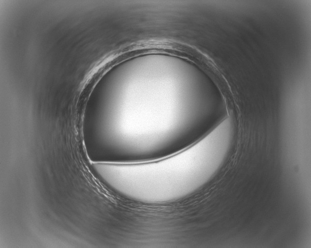 X0000086291312200703300851