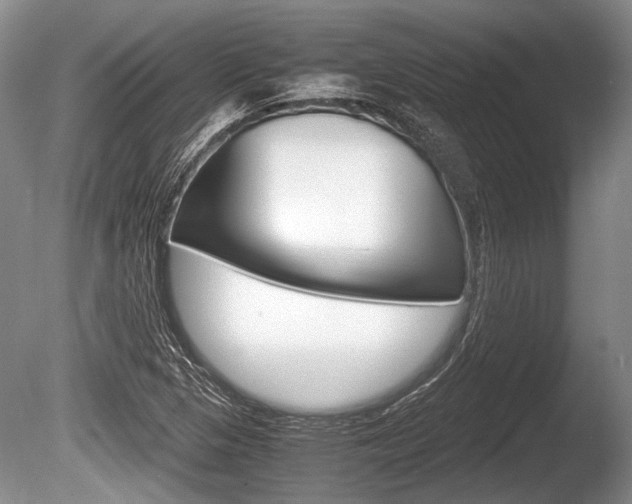 X0000086291313200703300851