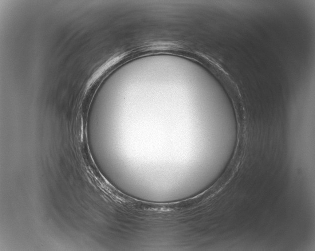 X0000086291317200703300851