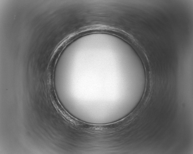 X0000086291318200703300851