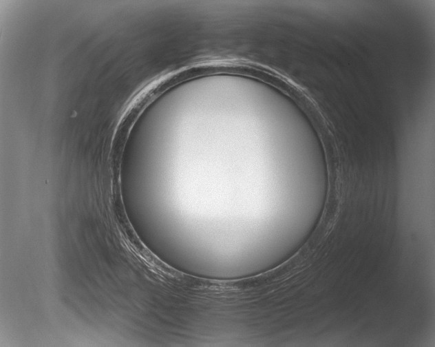 X0000086291319200703300851