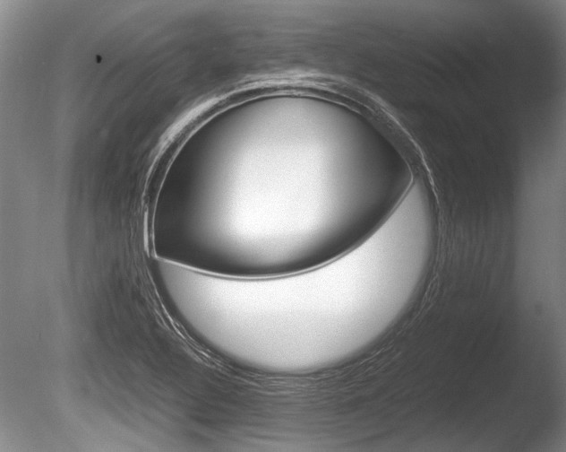 X0000086291320200703300851
