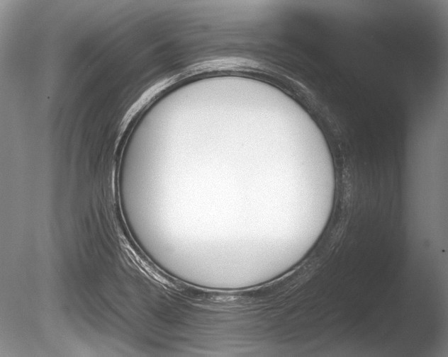 X0000086291322200703300851