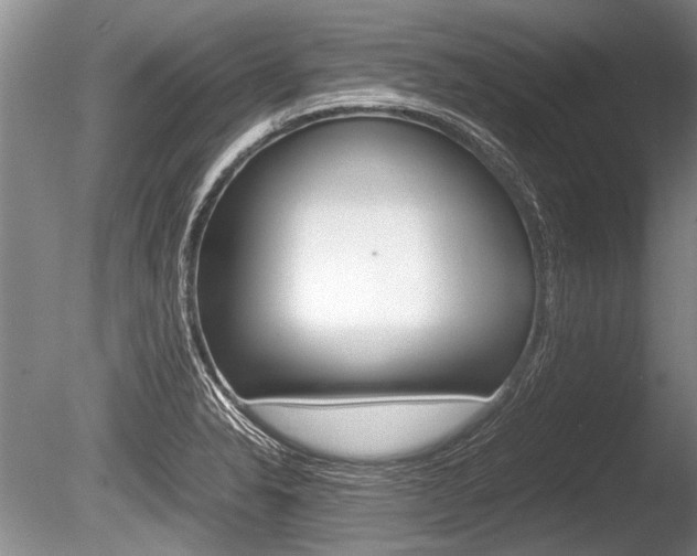 X0000086291326200703300851