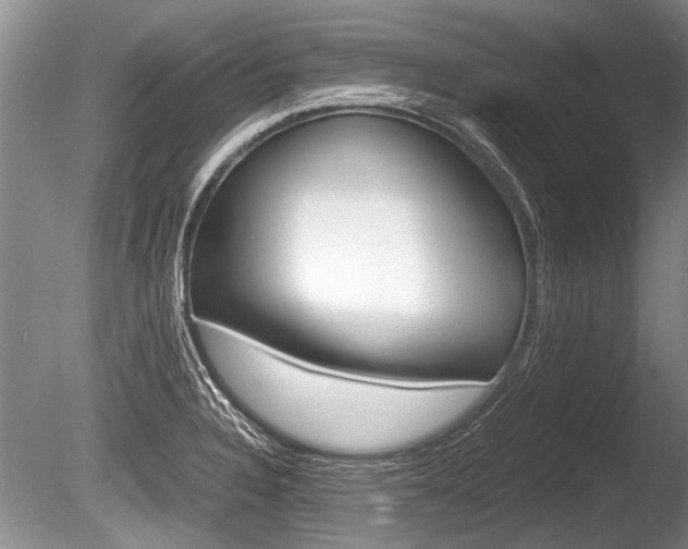 X0000086291328200703300851
