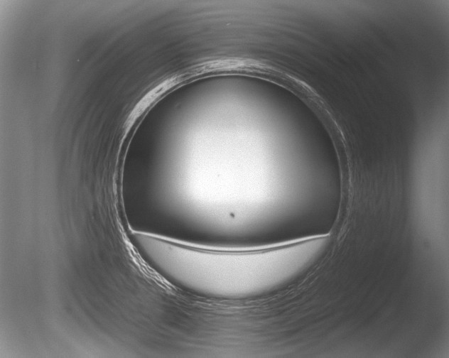 X0000086291330200703300851