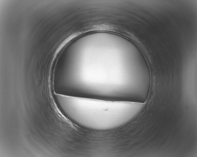 X0000086291331200703300851