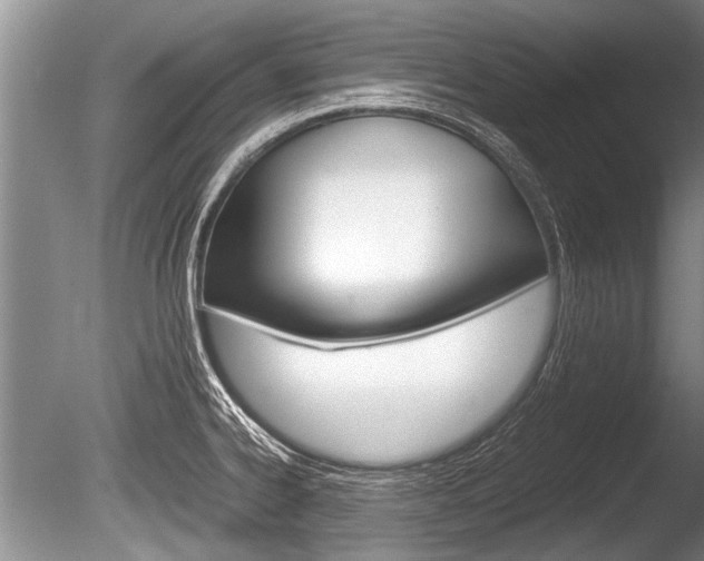 X0000086291334200703300851