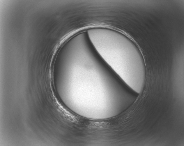 X0000086291335200703300851