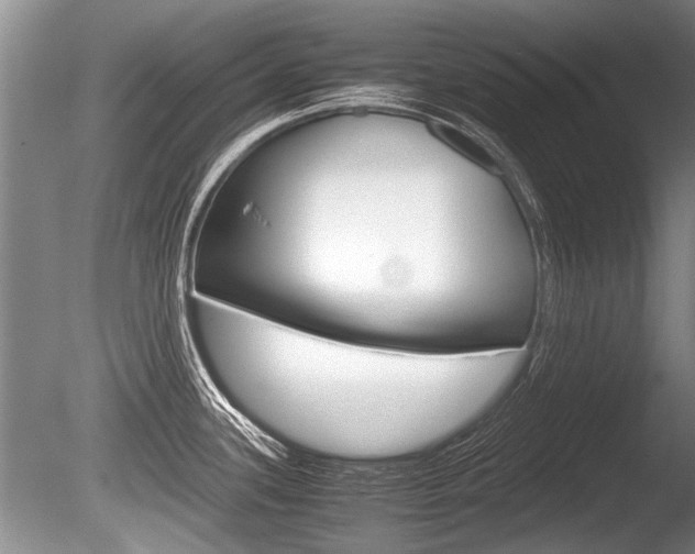 X0000086291339200703300852