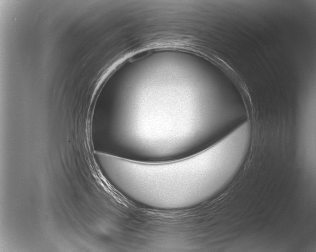 X0000086291340200703300852