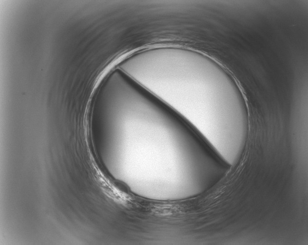 X0000086291341200703300852