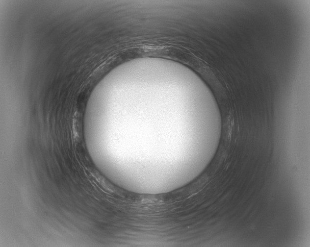 X0000086291346200703300851