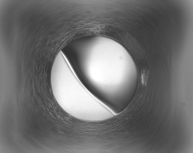 X0000086291347200703300851