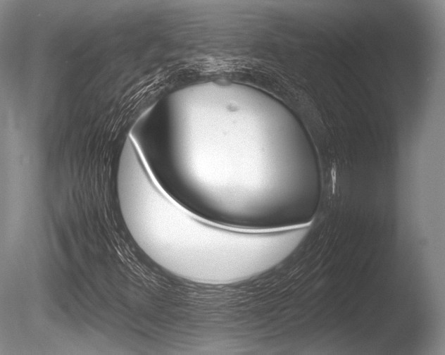 X0000086291348200703300851