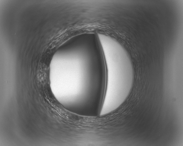 X0000086291349200703300851