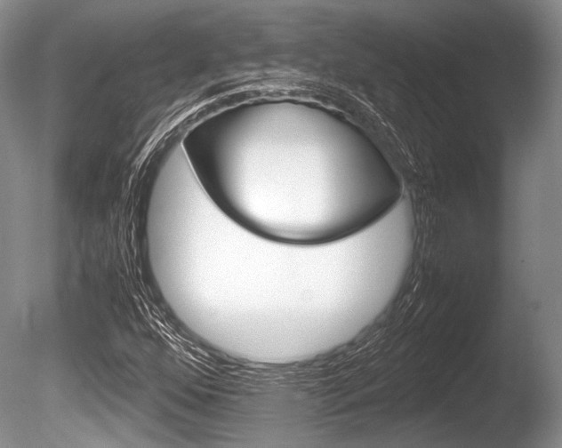 X0000086291352200703300851