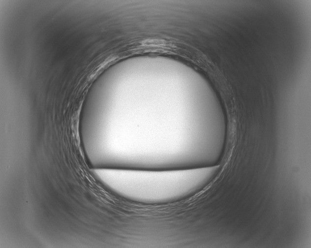 X0000086291353200703300851
