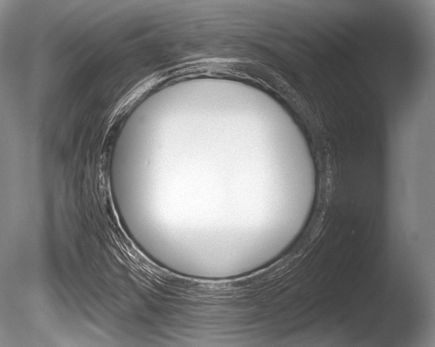 X0000086291354200703300851
