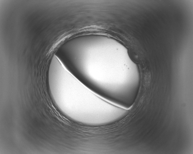 X0000086291355200703300851