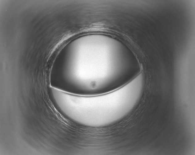 X0000086291356200703300851