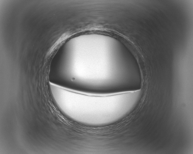 X0000086291359200703300851