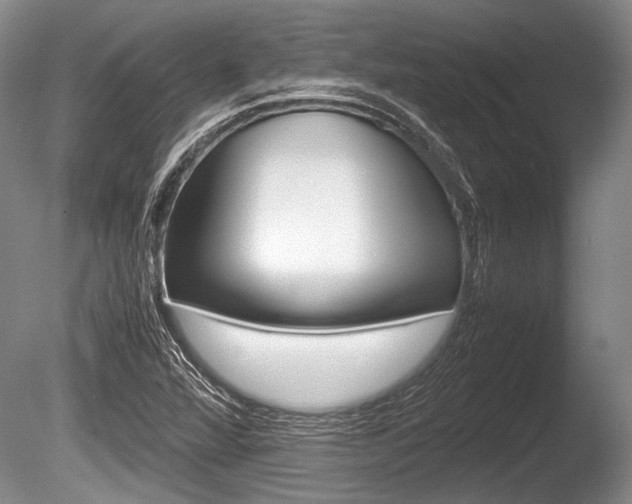 X0000086291360200703300851