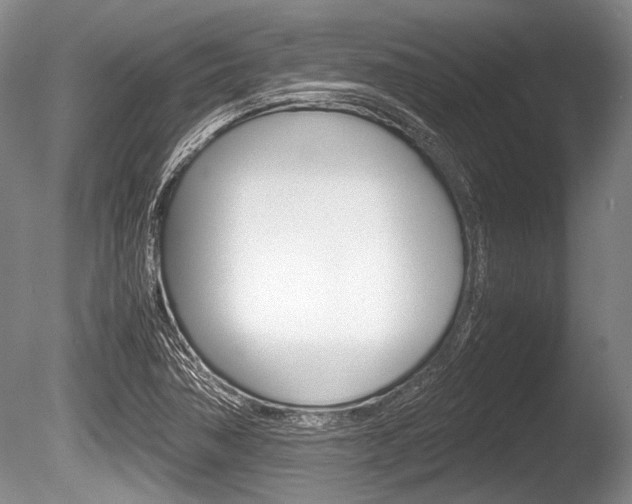 X0000086291362200703300850