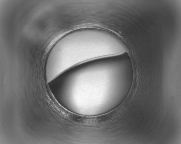 X0000086291363200703300850