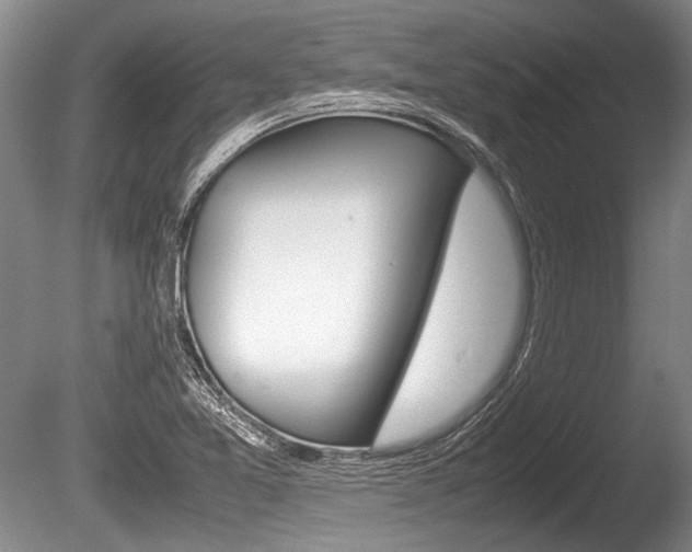 X0000086291365200703300850
