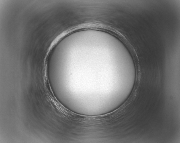 X0000086291366200703300850