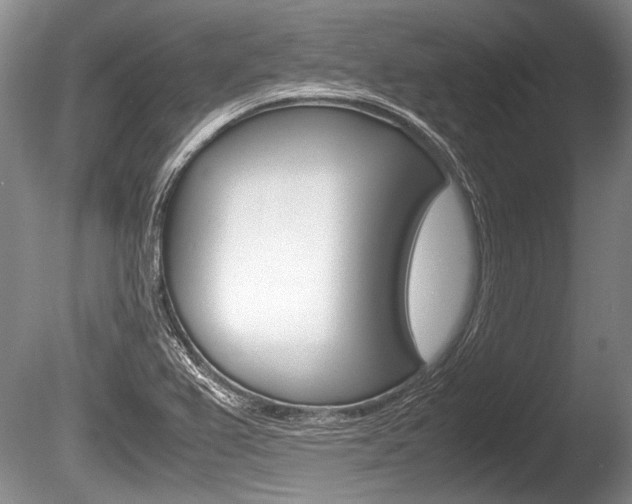 X0000086291367200703300850