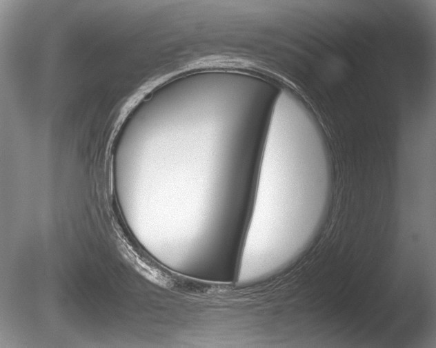 X0000086291371200703300850