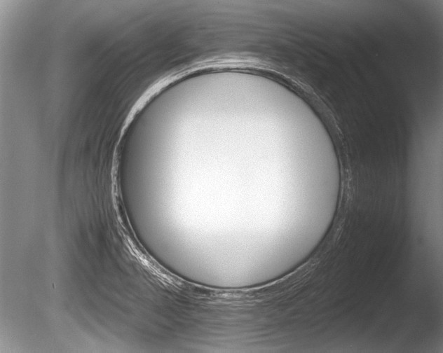 X0000086291374200703300850