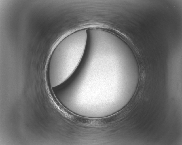 X0000086291375200703300850