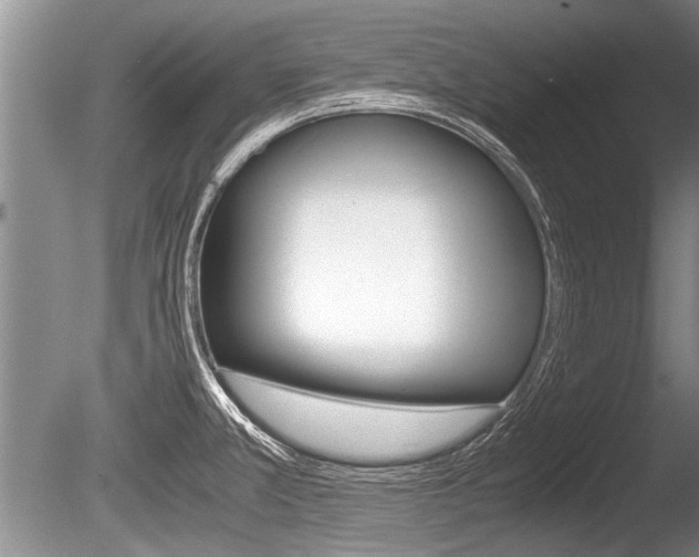 X0000086291381200703300850