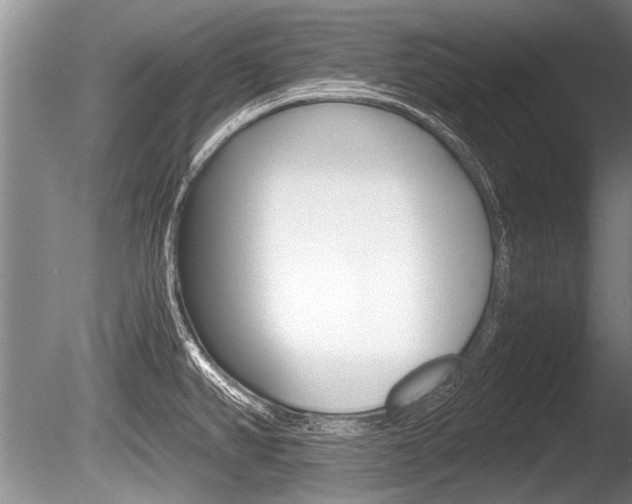 X0000086291382200703300850