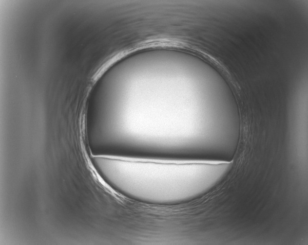 X0000086291383200703300850