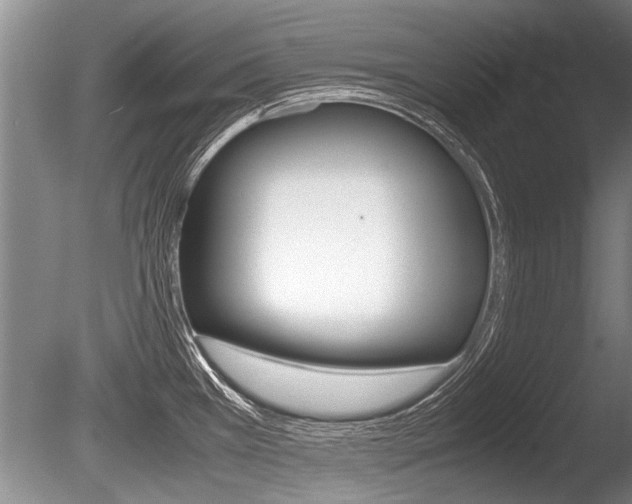 X0000086291385200703300850