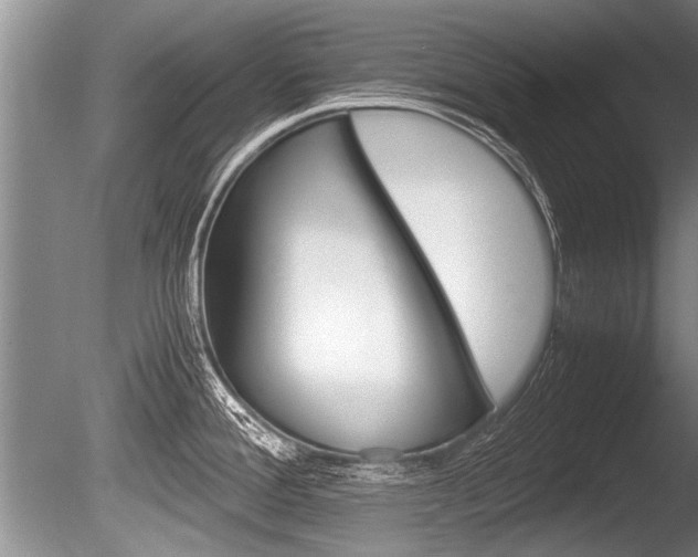 X0000086291388200703300850