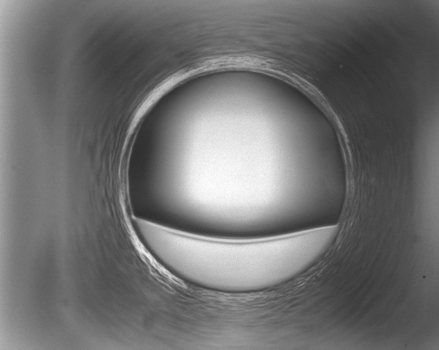 X0000086291389200703300850