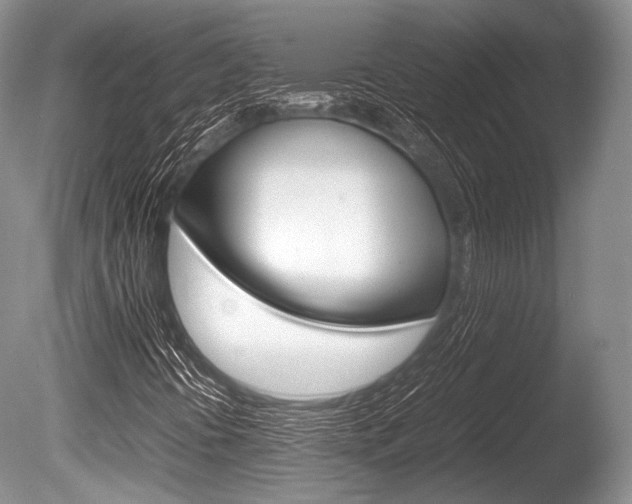 X0000086291394200703300849