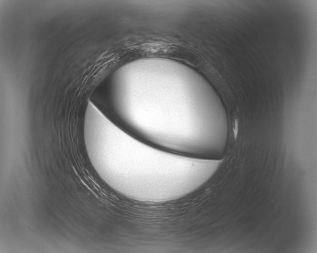 X0000086291396200703300849