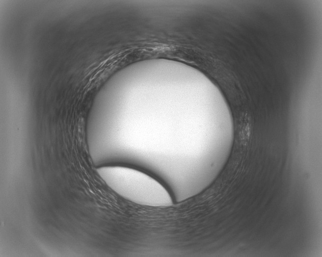 X0000086291397200703300849