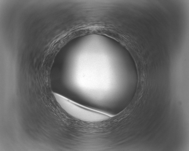X0000086291398200703300849